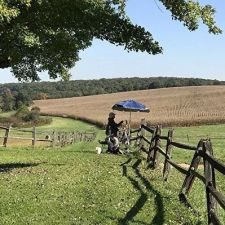Ann Crostic, Plein Air Artist, White Marsh, Maryland