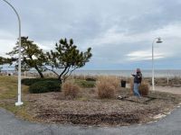 Chryshellis sculpture spot in Ocean View Park