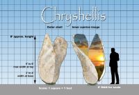 Chryshellis Sculpture for Ocean View Park, Norfolk, VA