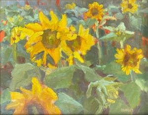 Coakley-Brown_Sunshine-Daydream