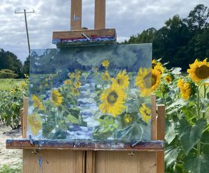 John-Meyers-Sunflowers